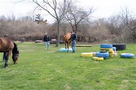 LR-WRF 0402026 Retreat-3354